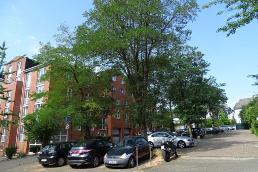 Wuppertal Appartment 1
