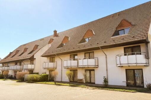 Greven zur friedrichsburg 8 14 4