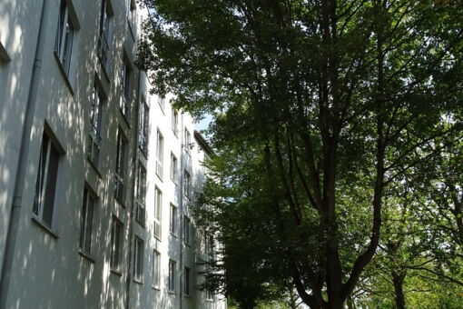 Wuppertal Studenten 9