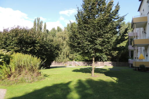 Herne 5