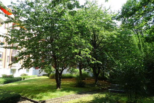 Wuppertal GS 78 und 82 5